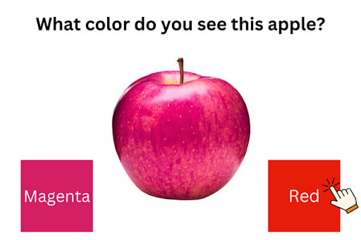 Take Test